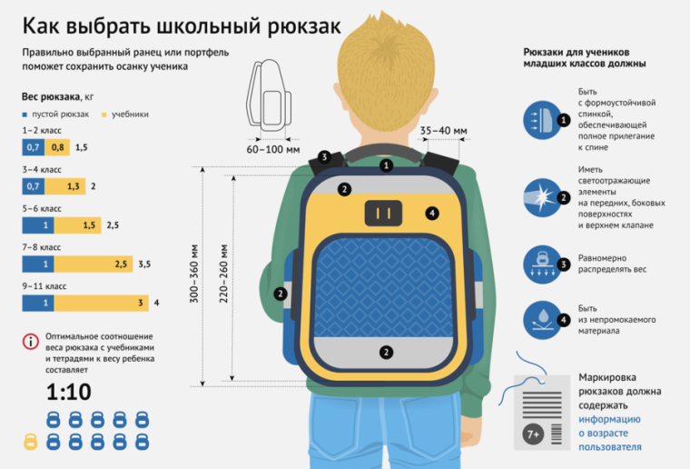 рекомендации по выбору школьного рюкзака (ранца).